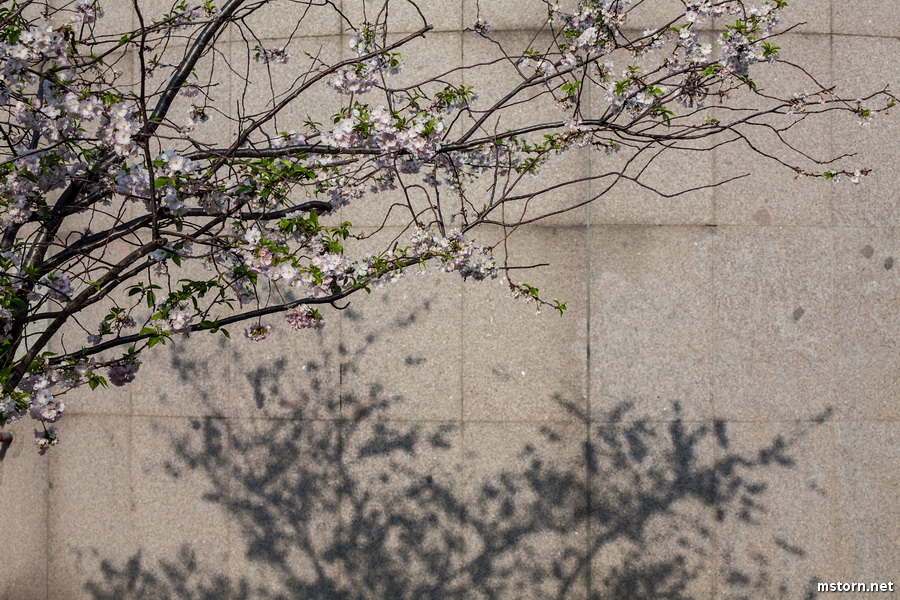 2012-03-24 17-50-51_smx.JPG